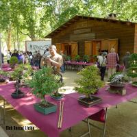 maig 2013 003