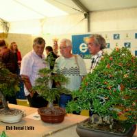 ECOJARDI 2014 010